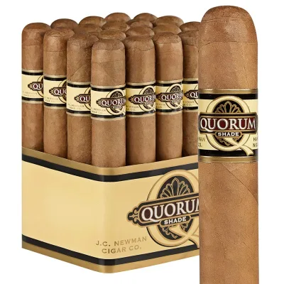 Quorum Shade (Gordo) (6.0"x60) Pack of 20