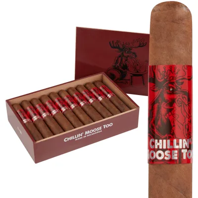 Foundry Chillin' Moose Too (Gigante) (6.0"x60) Box of 20