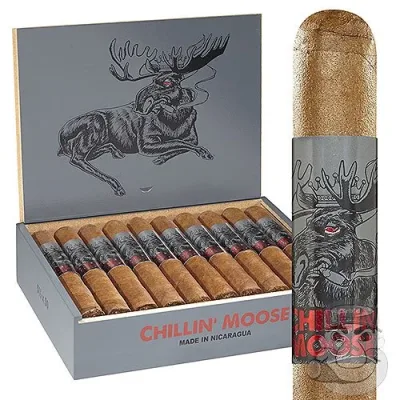 Foundry Chillin' Moose Gigante (6.0"x60) Pack of 5