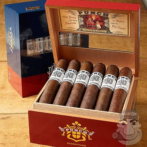 Punch Signature Gigante (6.0"x60) Pack of 5